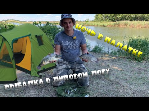 Видео: СУТОЧНАЯ РЫБАЛКА НА ПРУДУ ЛИПОВ ЛОГ, ОТЛИЧНЫЙ КЛЁВ НА ПОПЛАВОК (Воронежская область, рыбалка 2020).