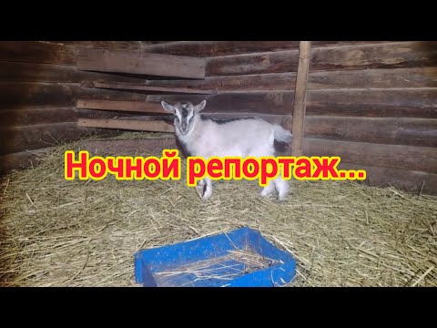 Видео: ночь... время мыслей..