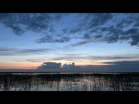 Видео: Подводная охота в Ленинградской области 2024