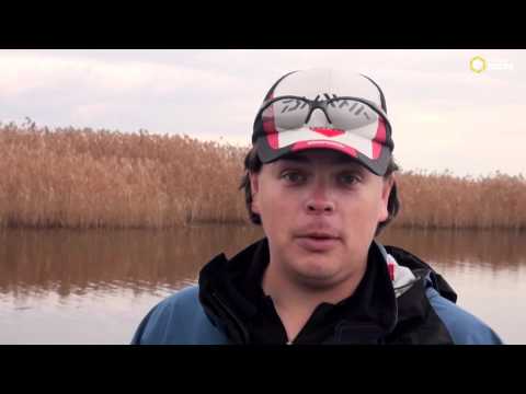 Видео: Твичинг в холодной воде  Алексей Шанин  Anglers Practical