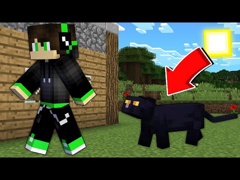Видео: Пропавшего Друга Вову ПРЕСЛЕДУЕТ ЧЕРНАЯ КОШКА в Майнкрафте 😲 ! 100% ТРОЛЛИНГ MINECRAFT