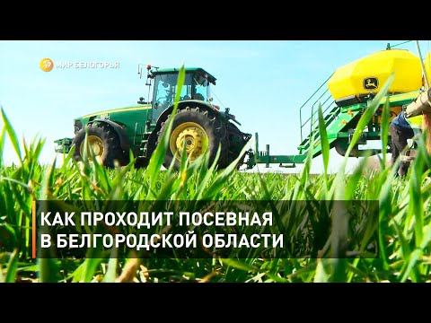 Видео: Как проходит посевная в Белгородской области