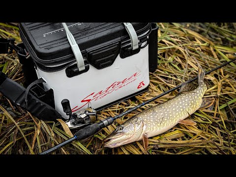 Видео: Зимова рибалка  УЛЬТРАЛАЙТ! EVERGREEN не за всі гроші