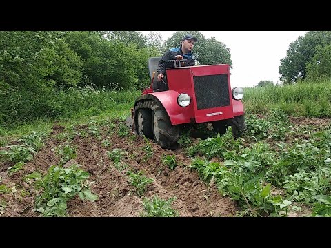 Видео: Гусеничный минитрактор, окучиваем картошку, боронуем,  повторно химичим борщевик
