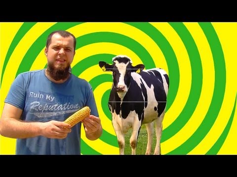 Видео: АМЕРИКАНСКОЕ СЕЛО. Amish