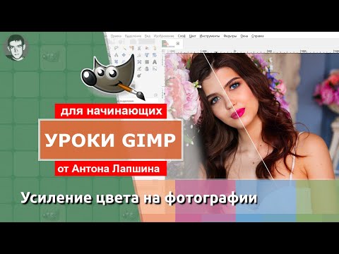 Видео: Как усилить цвета на фотографии?