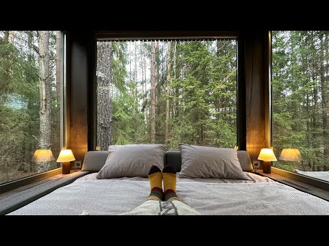 Видео: Видеообзор лесных шале Forest house