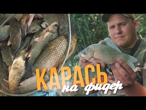 Видео: Ловля КАРАСЯ на фидер | Рыбалка 2020 | СЕКРЕТЫ ловли КАРАСЯ