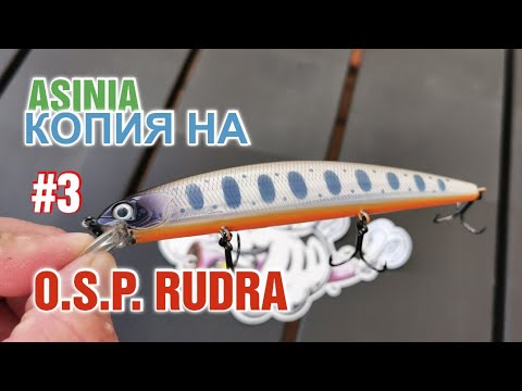 Видео: Новинка от ASINIA Копия на O. S. P. RUDRA 130 разловлен на первой рыбалке. Третий обзор