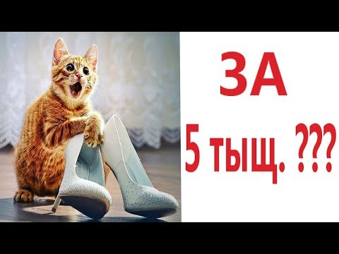 Видео: Лютые приколы. КУПИЛА НОВЫЕ ТУФЛИ!!! Попробуй не засмеяться! Тест на психику! – Domi Show!
