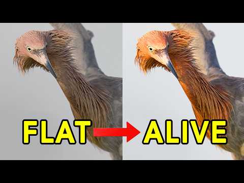 Видео: Хитрость контраста, которую вы, вероятно, упускаете