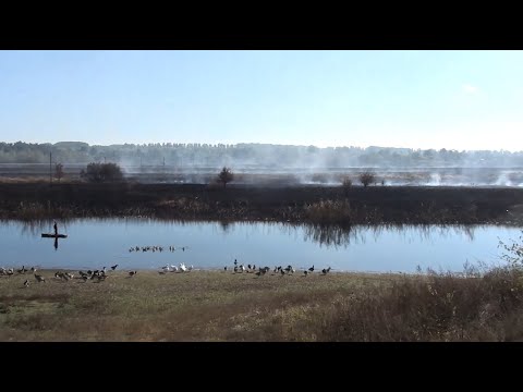 Видео: Нищення Землі заради землі - війна без переможців.