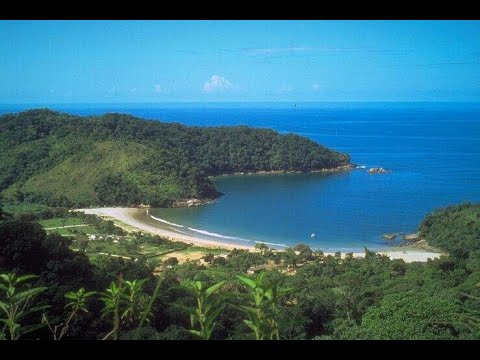 Видео: Отношения с психопатом. Как выйти из отношений с психопатом