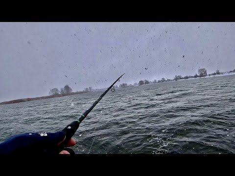 Видео: РЫБАЛКА НА СУДАКА В МЕТЕЛЬ!ВОТ ЭТО ОН ВДАРИЛ! СПИННИНГ В НОЯБРЕ 2023.КРАЙНИЕ ВЫХОДЫ ПЕРЕД ЛЕДОСТАВОМ