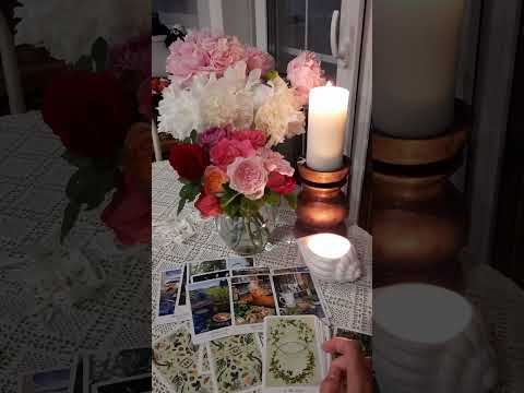 Видео: Чувства, мысли, действия🦋