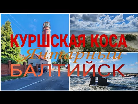 Видео: Владивосток-Москва-Калининград / Август 2024 / ЧАСТЬ 6