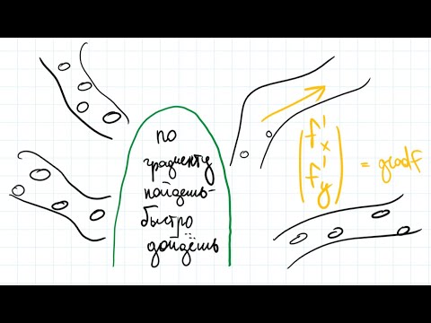 Видео: Градиент - это просто!