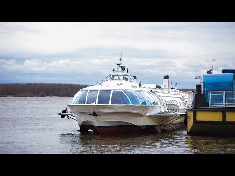 Видео: По любви - сотрудники «Северречфлота» рассказали, почему выбрали «водную» профессию