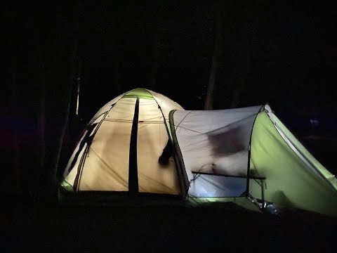 Видео: Риболовля 2020. Рибалка осінь. Хрінники