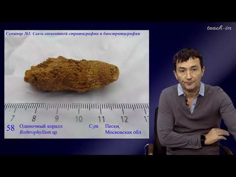 Видео: Габдуллин Р.Р. - Секвентная  стратиграфия. Семинары - 8. Связь секвентной и биостратиграфии
