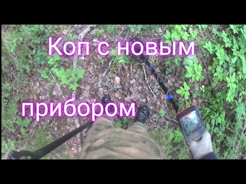 Видео: Копаю с новым прибором. Quest X5 в деле