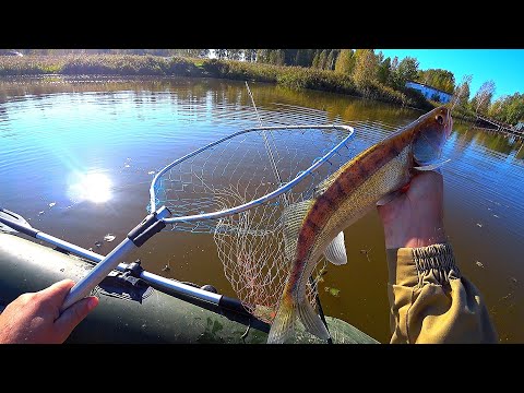 Видео: ПЕРВЫЙ РАЗ ЛОВЛЮ ТУТ! РЫБАЛКА НА СУДАКА С ЛОДКИ 2024
