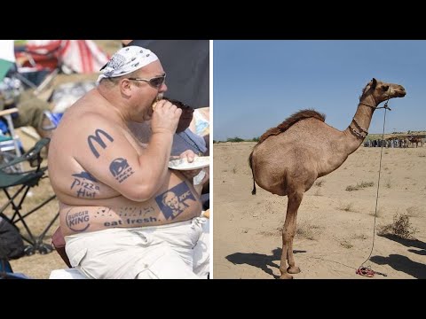 Видео: Вирусные фотографии, которые оказались фейком (2 серия)