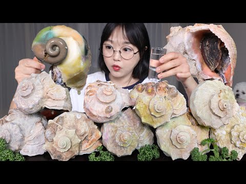 Видео: Тушёные морские улитки — идеальная закуска к соджу!ㅣMukbang ASMR