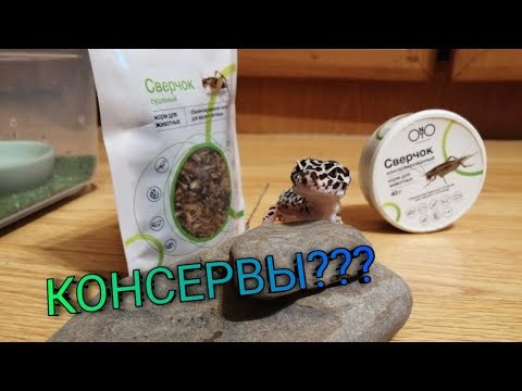 Видео: КОНСЕРВЫ ДЛЯ ЭУБЛЕФАРА???