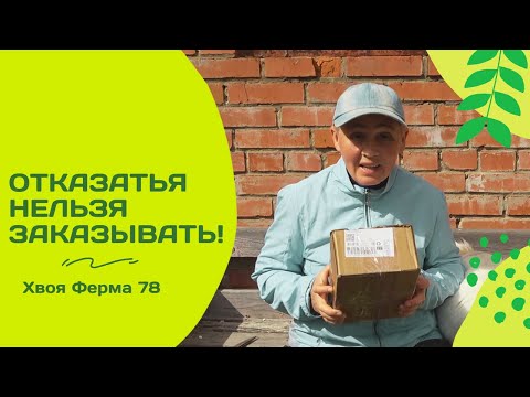 Видео: Распаковка из «Хвоя Фермы 78»: астры и бонусы в коробке