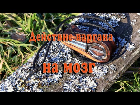 Видео: Музыка. Действие варгана на мозг