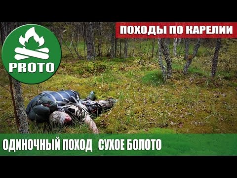 Видео: Походы в лес. Одиночный поход. Тайга. Болото. Выживание и Bushcraft