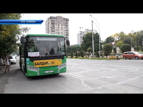 Видео: Ош шаарында автобустар окуучуларды акысыз ташыйт