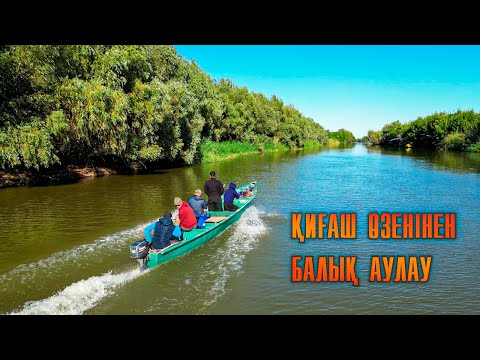 Видео: ҚИҒАШ ӨЗЕНІНДЕ БАЛЫҚ АУЛАУ | БАУЫРЛАРМЕН ТАБИҒАТТА ДЕМАЛЫП, ТҮНГІ БАЛЫҚ АУЛАУ, САЗАН, ЖАЙЫН АУЛАУ