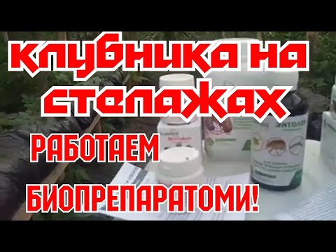 Видео: Малообъемка!Работаем биопрепаратоми по листу!