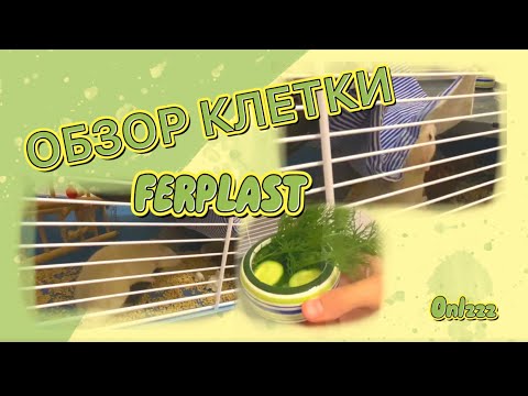 Видео: Лучшие клетки для крыс// сборка клетки ферпласт ✨