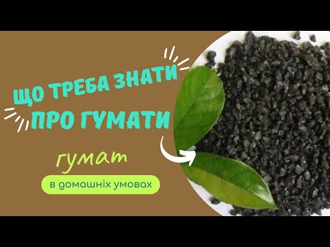 Видео: Як застосовувати гумат калію ефективно та безпечно.  Гумат в домашніх умовах: як та для чого