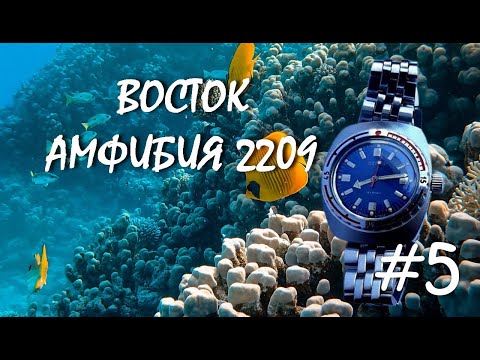 Видео: Сборка и смазка механизма ВОСТОК АМФИБИЯ 2209 (БОЧКА)//ЧАСТЬ 5