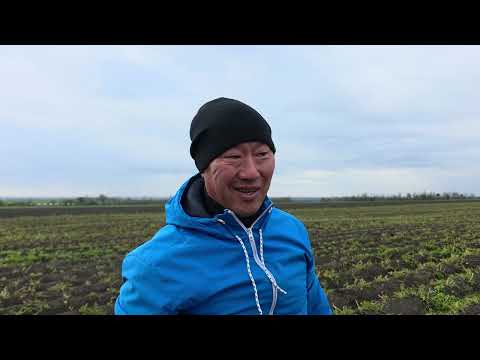 Видео: 27 октября 2025 г.