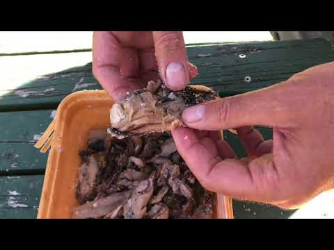 Видео: Соление мидий для наживки — рыба просто не может устоять перед ними.