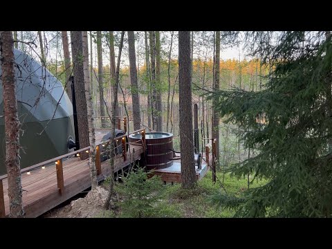 Видео: Глэмпинг Forest Lake красивая база с жирными минусами