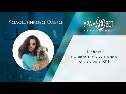 Видео: К чему приводит нарушение моторики ЖКТ. Лектор Ольга Калашникова #убвк_гастроэнтерология