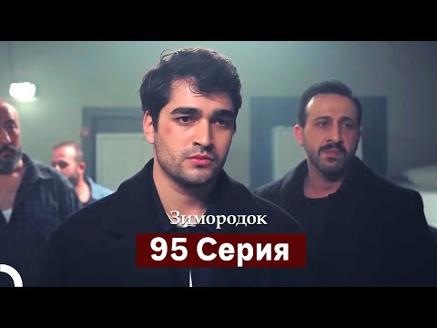 Видео: Зимородок 95 Cерия (Русский дубляж)