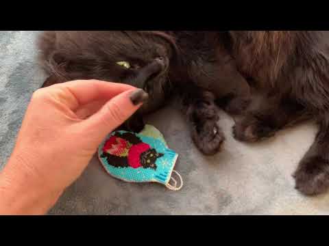 Видео: Вышиваем елочные игрушки вместе! Добро пожаловать в СП!