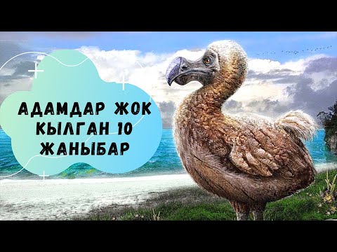 Видео: Адамдар атып жок кылган 10 жаныбар