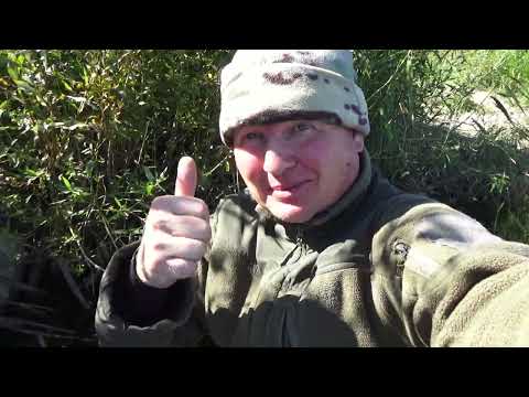 Видео: Перепробовал  кучу приманок. Самый жор был на закате.