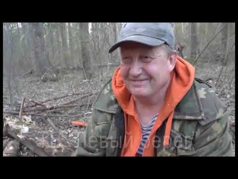 Видео: Соседи (Пурех)