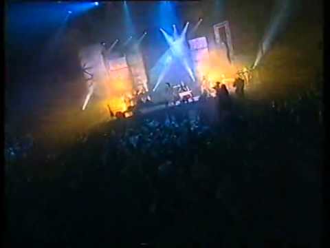 Видео: Света и Русский размер