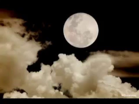 Видео: Веня Д'ркин   "Селена"