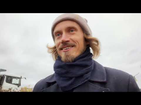 Видео: Каршеринг в Петербурге: Лучшие и Худшие Сервисы | Опыт с Яндекс Драйв, Делимобиль, Белка, CityDrive